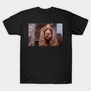 Sussex Spaniel with Tongue Out T-Shirt